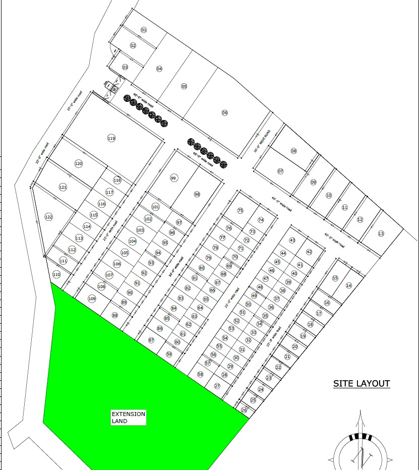 plot area